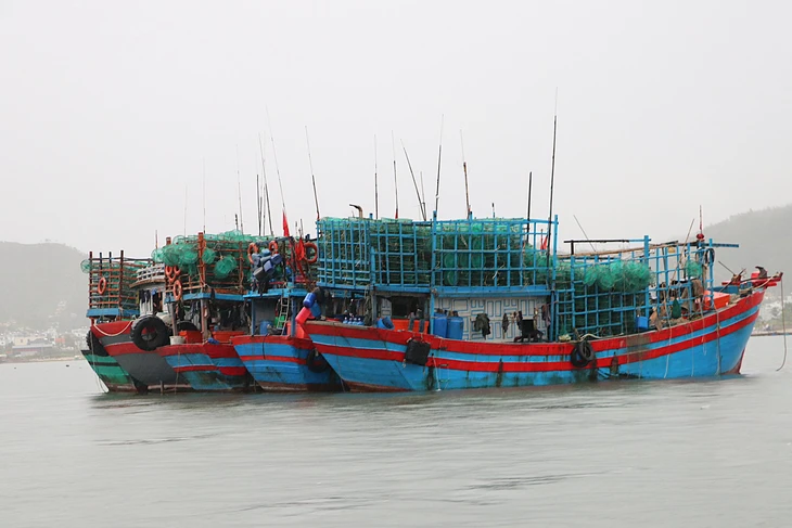 Bão số 3 cách Quảng Ninh 220km, khả năng mạnh thêm 1-2 cấp trên vịnh Bắc Bộ - Ảnh 3.