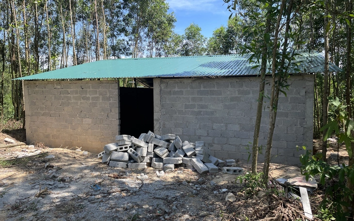 Quảng Trị kiến nghị cơ chế đặc thù cho xã tuyển dụng cán bộ lĩnh vực đất đai - Ảnh 2.