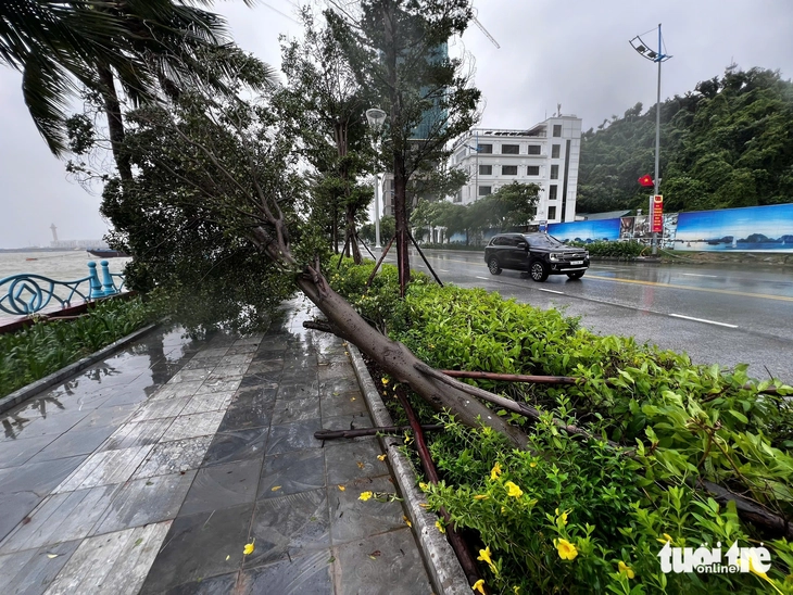 Sáng nay, bão số 3 sẽ đổ bộ nam Hải Phòng, Hưng Yên, Ninh Bình - Ảnh 3. bão số 3 - Ảnh 16.
