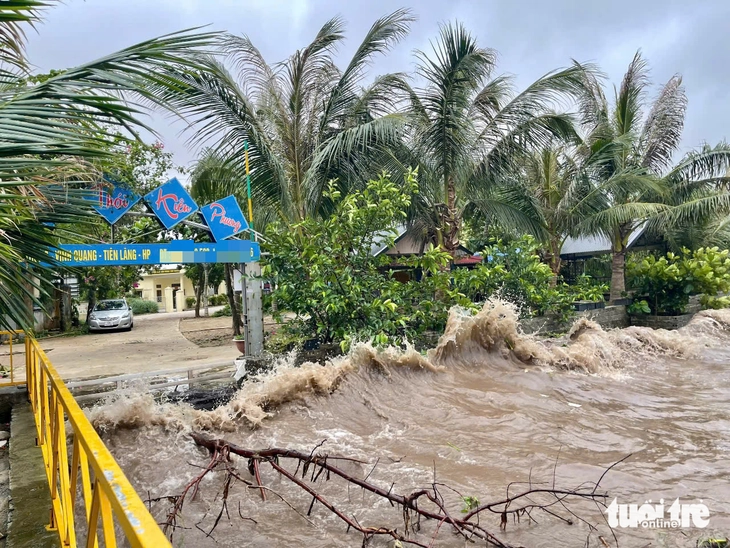 Bão số 3 đã đi vào đất liền Hưng Yên - Ninh Bình - Ảnh 2. bão số 3 - Ảnh 4.