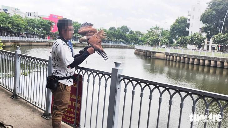 Vô tư huấn luyện chim diều lửa không giấy tờ trên bờ kênh Nhiêu Lộc - Thị Nghè- Ảnh 3. diều lửa - Ảnh 3.