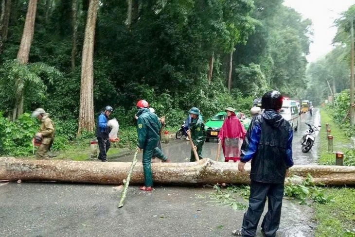 Bão số 3 đã đi vào đất liền Hưng Yên - Ninh Bình, đang mưa lớn ở Thanh Hóa - Ảnh 10. bão số 3 - Ảnh 11.