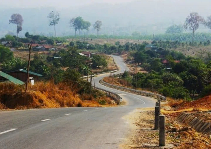 chó - Ảnh 1.