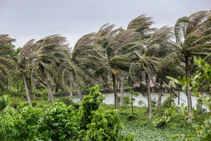 Bão số 3 trên đất liền Ninh Bình - Thanh Hóa, đang suy yếu dần - Ảnh 1. bão số 3 - Ảnh 1.