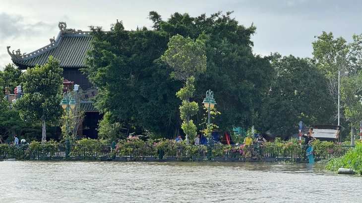 hải phòng - Ảnh 6.
