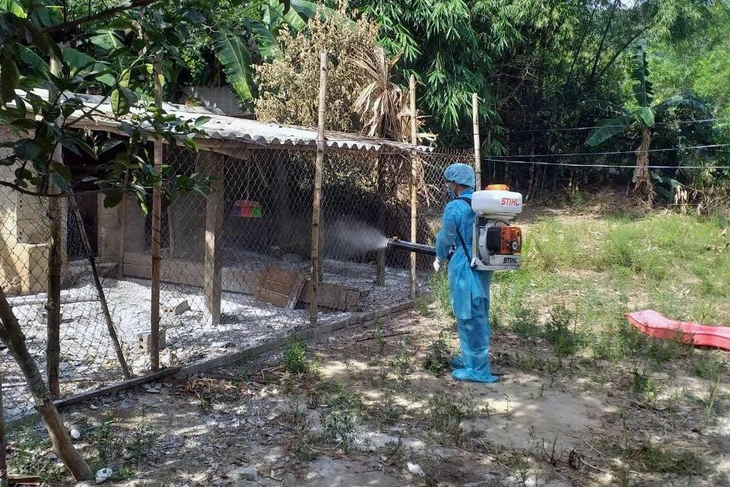 dịch tả heo - Ảnh 2.