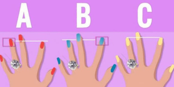 quiz - Ảnh 1.