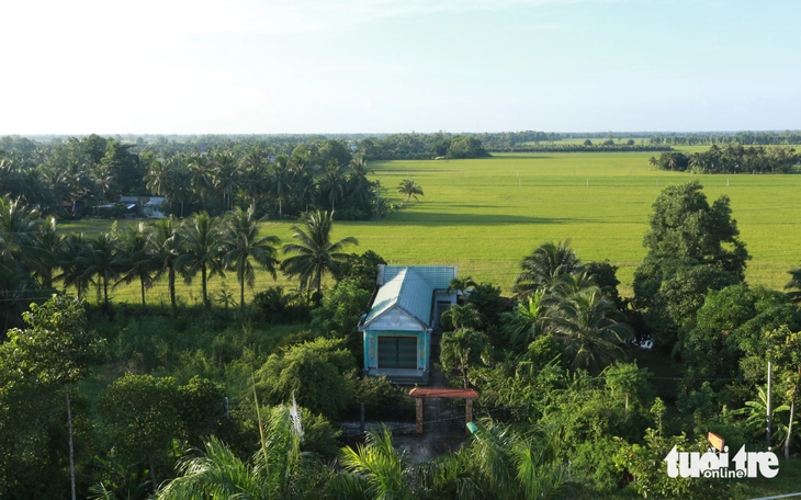 Miệt Thứ có còn xa lắc xa lơ - Kỳ 1: Tìm quê Sơn Nam bận quần đùi, đá cá lia thia - Ảnh 5. miệt thứ - Ảnh 5.