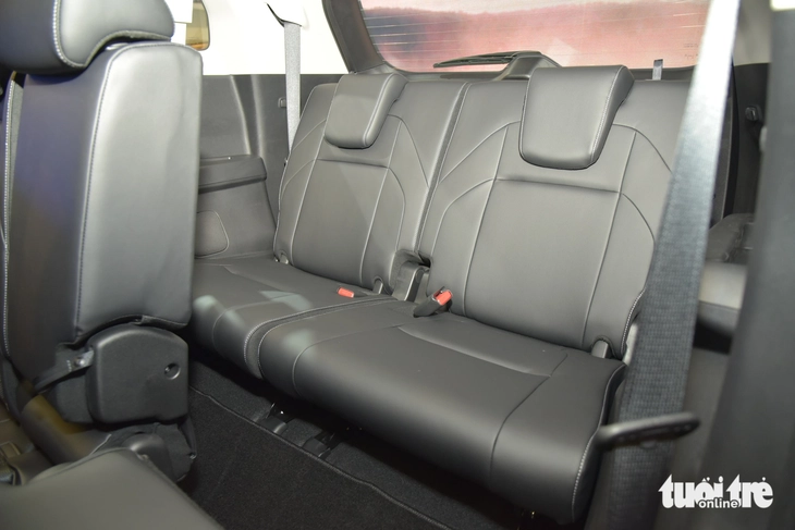 Mitsubishi Destinator - Ảnh 10.