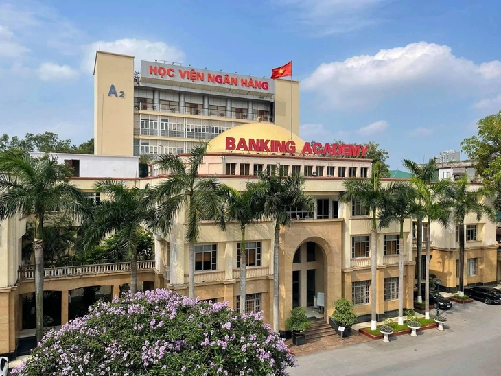 Điểm sàn - Ảnh 1.