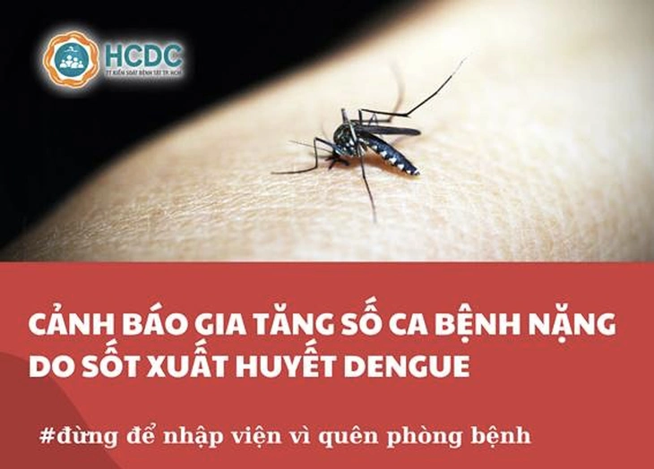 sốt xuất huyết - Ảnh 1.