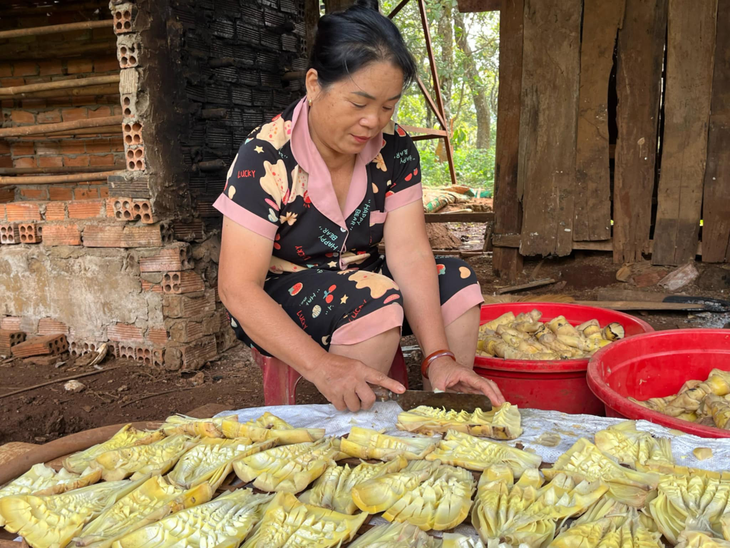 Mùa săn măng - Ảnh 4. Mùa săn măng - Ảnh 4.