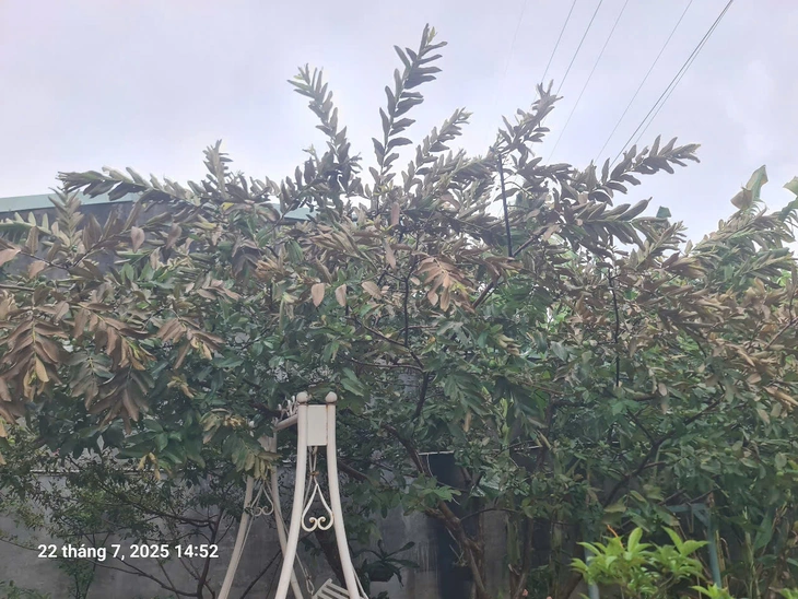 Rò rỉ hóa chất từ Nhà máy bột giặt VICO, người dân bị ngất phải đi viện - Ảnh 2.