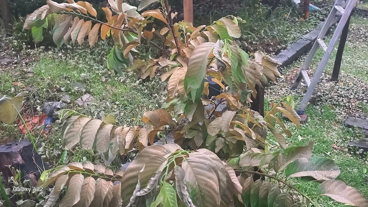 hải phòng - Ảnh 3.
