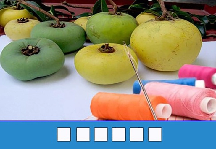 đuổi hình bắt chữ - Ảnh 3.