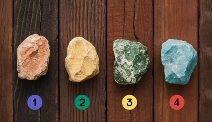 quiz - Ảnh 1.