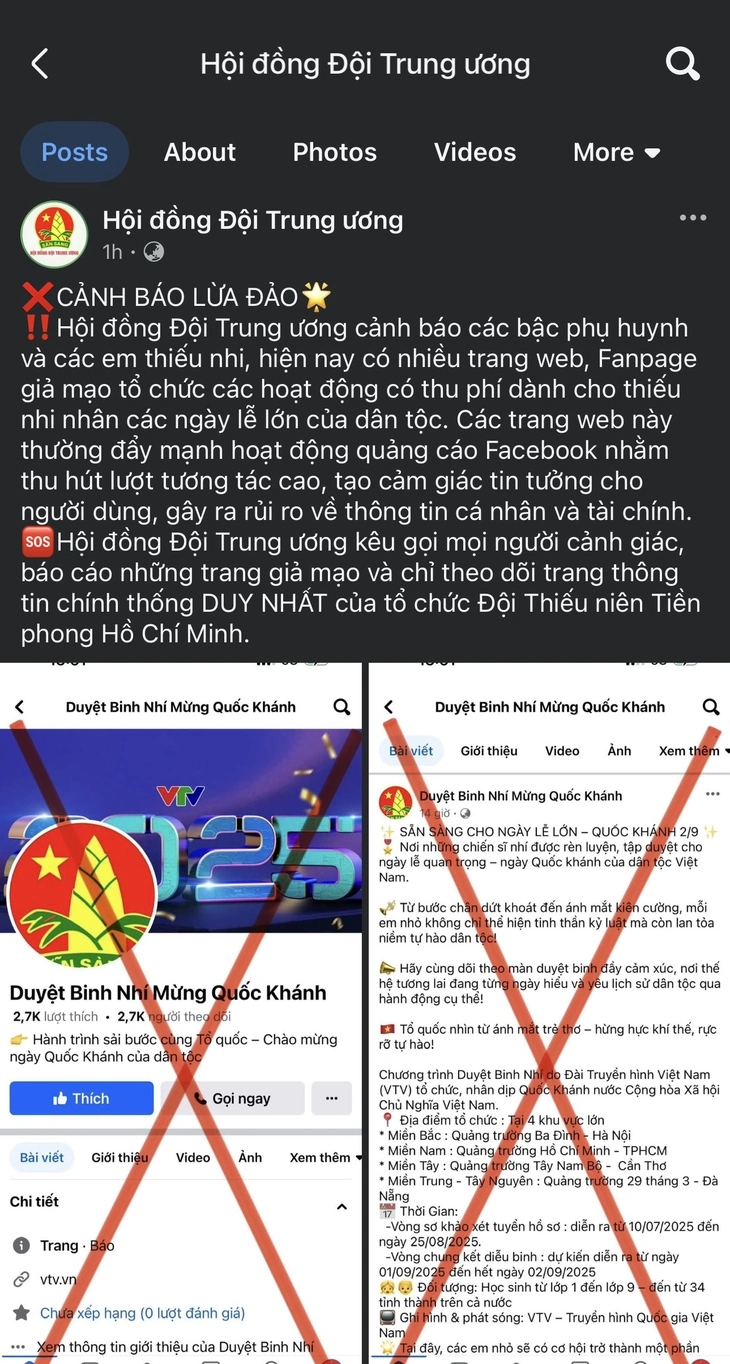 LỪA ĐẢO - Ảnh 5.