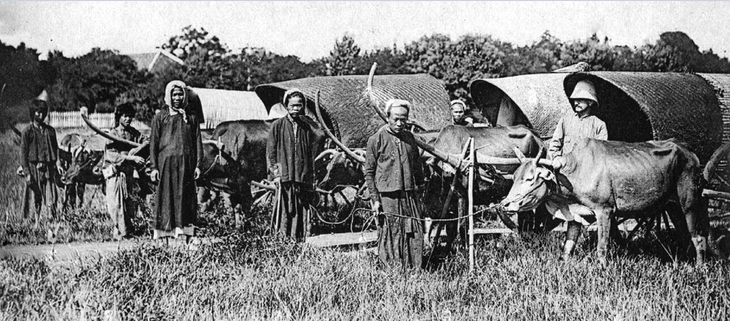 sử học Việt - Ảnh 1.