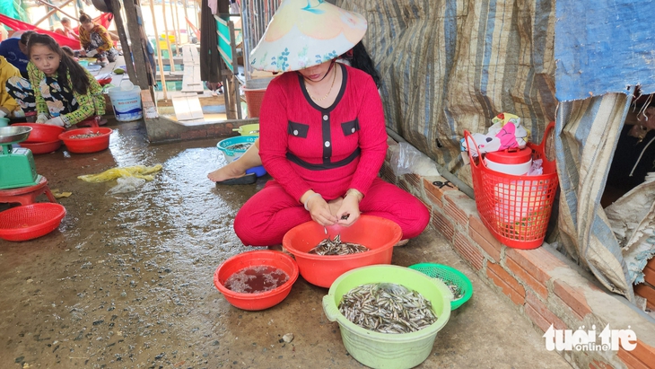 Nước phù sa đỏ quạch trên các sông, 'đặc sản' mùa lũ miền Tây đã về - Ảnh 2.
