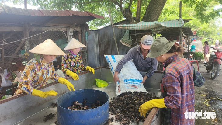 nước phù sa - Ảnh 3.