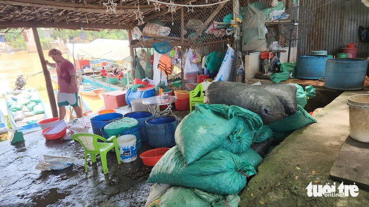 Nước phù sa đỏ quạch trên các sông, 'đặc sản' mùa lũ miền Tây đã về - Ảnh 4.
