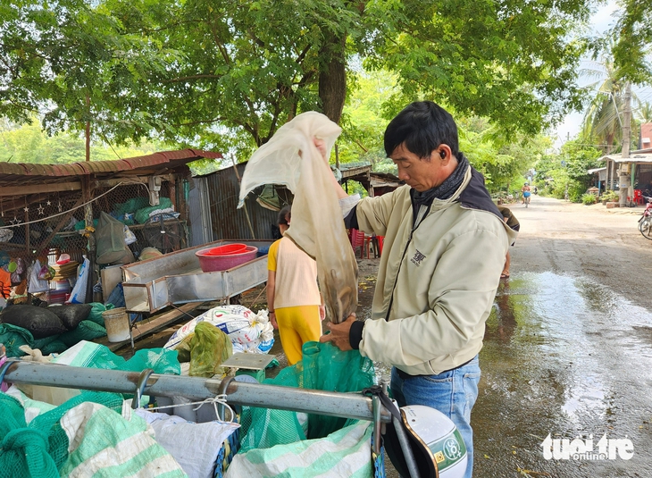 Nước phù sa đỏ quạch trên các sông, 'đặc sản' mùa lũ miền Tây đã về - Ảnh 7.