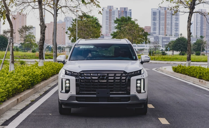 Hyundai Palisade - Ảnh 1.