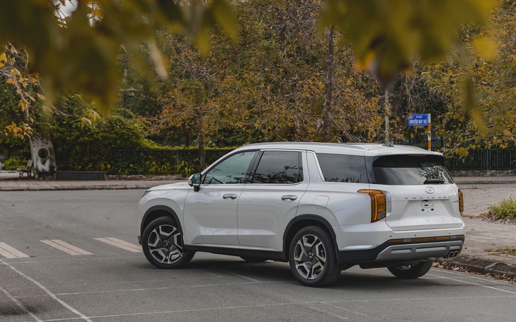 Hyundai Palisade - Ảnh 3.