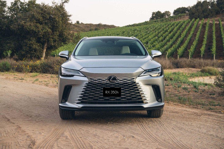 Lexus - Ảnh 1.