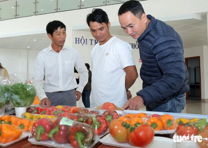 Nông sản - Ảnh 2.