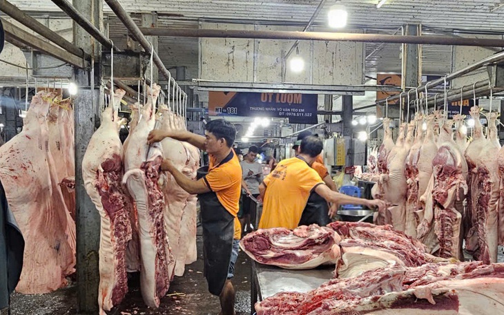 Lâm Đồng tiêu hủy đàn lợn hơn 200 con nhiễm dịch tả lợn châu Phi - Ảnh 3.