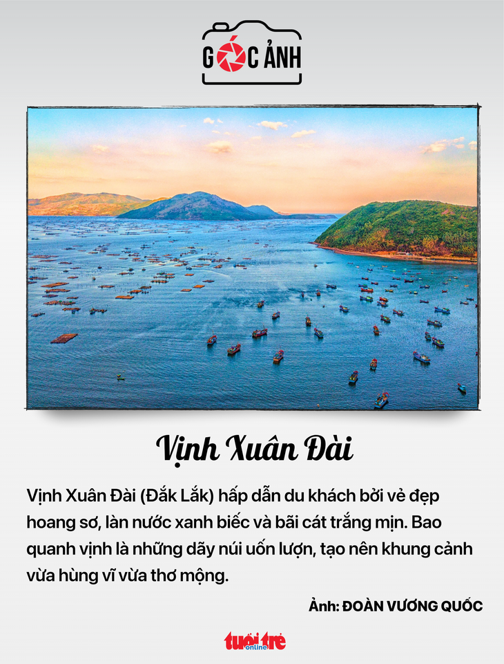 tin tức - Ảnh 7.