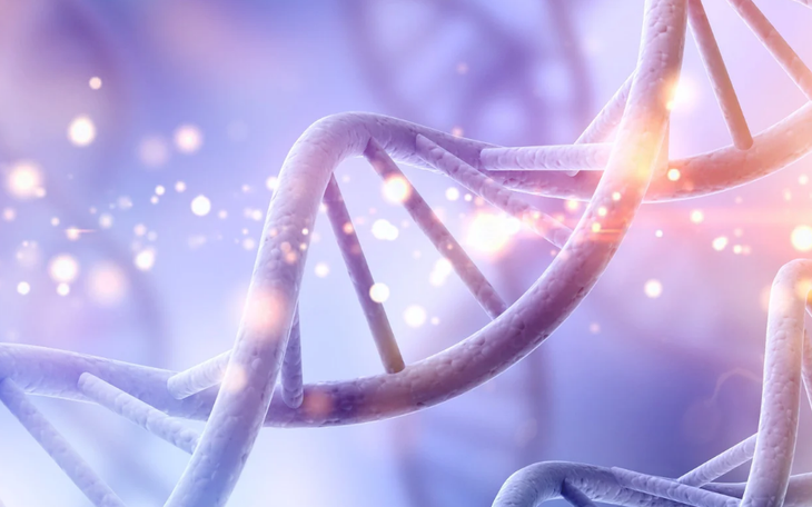 Cú sốc khoa học: Nhân bản vô tính không thể kéo dài vô hạn, dừng lại ở thế hệ 58 - Ảnh 2.