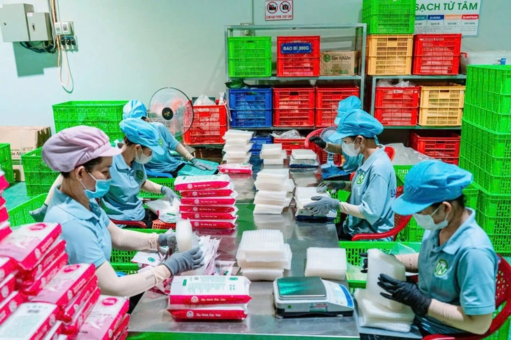 Giá gạo giảm mạnh, doanh nghiệp xuất khẩu bún, phở, bánh tráng… kỳ vọng thắng lớn - Ảnh 2.