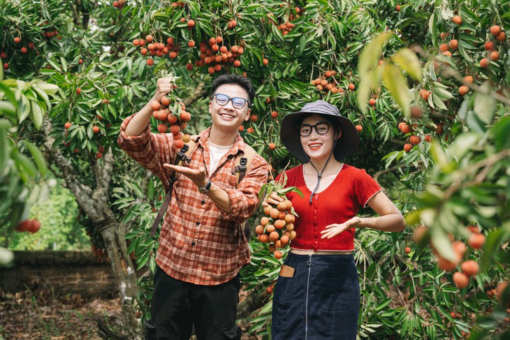 Về Mộc Châu, làm đại sứ du lịch quê mình - Ảnh 2. Mộc Châu - Ảnh 2.