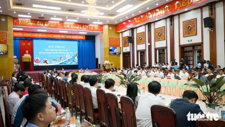 Gia Lai - Ảnh 1.