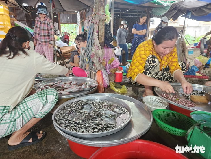 cá linh - Ảnh 1.
