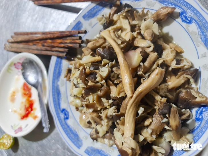 Nấm mối ở Vĩnh Long, hơn 1 triệu đồng/kg - Ảnh 3.