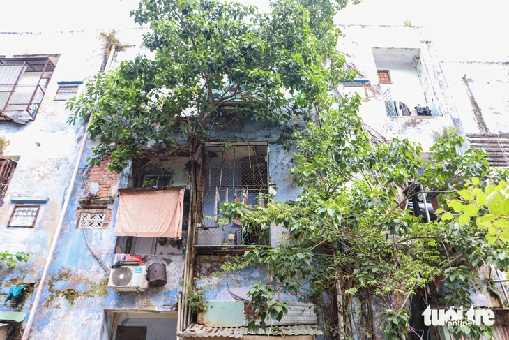 chung cư - Ảnh 3.