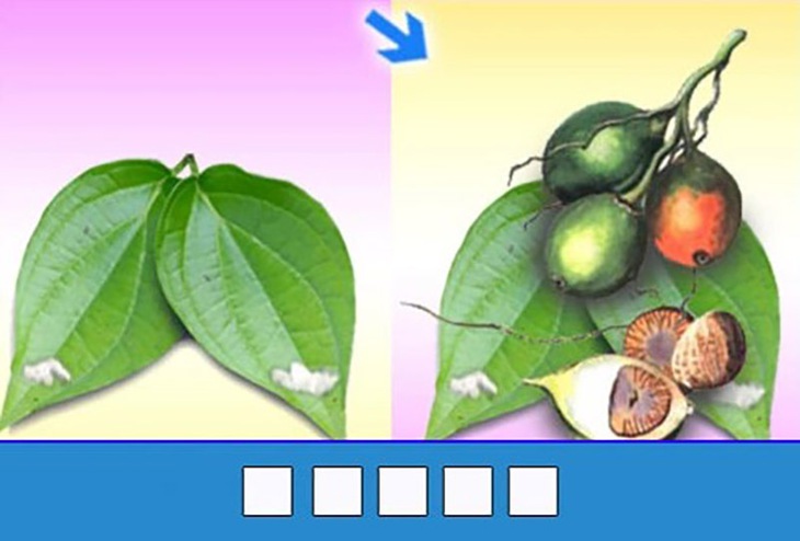  đuổi hình bắt chữ - Ảnh 1.