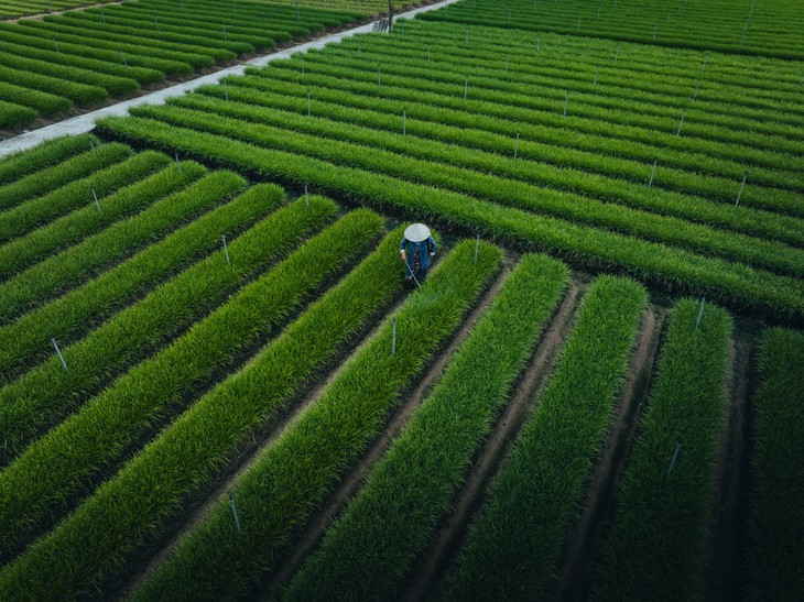 Bến Tre - Ảnh 6.