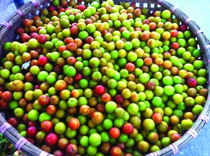 mận  - Ảnh 3.
