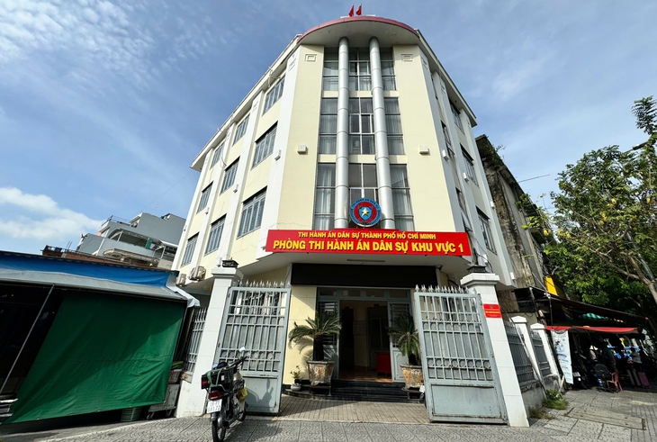 thi hành án dân sự - Ảnh 1.