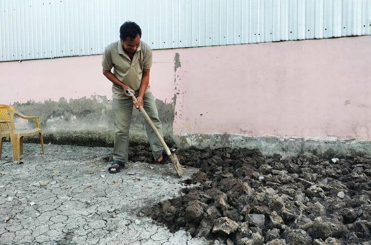 Nộp tiền 2 tháng nhưng nông dân Cà Mau vẫn chưa nhận được lúa giống - Ảnh 1.