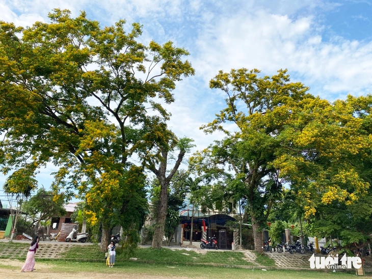 Hương Trà - Ảnh 2.