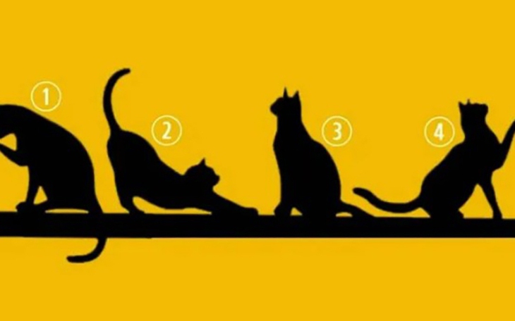 Quiz: Bạn sẽ gặp được định mệnh cuộc đời mình ở đâu? - Ảnh 4.