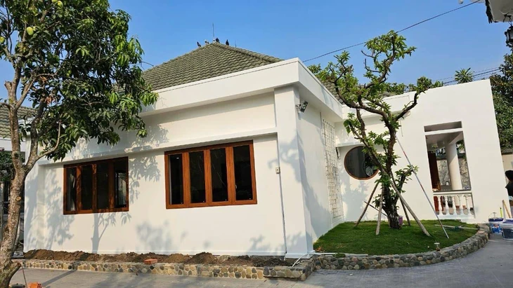 Việt Trinh - Ảnh 2.