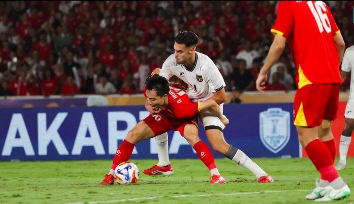 Indonesia - Ảnh 1.