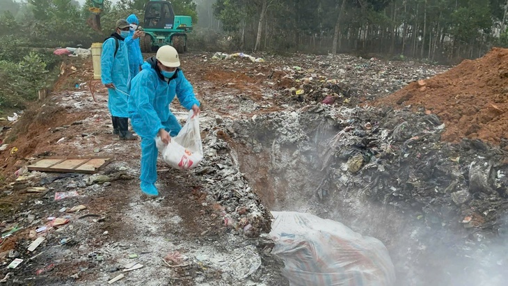 dịch tả heo châu phi - Ảnh 1.