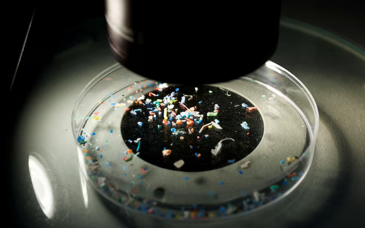 Phát hiện mới: Một thực phẩm quen thuộc giúp loại bỏ vi nhựa khỏi cơ thể  - Ảnh 2.